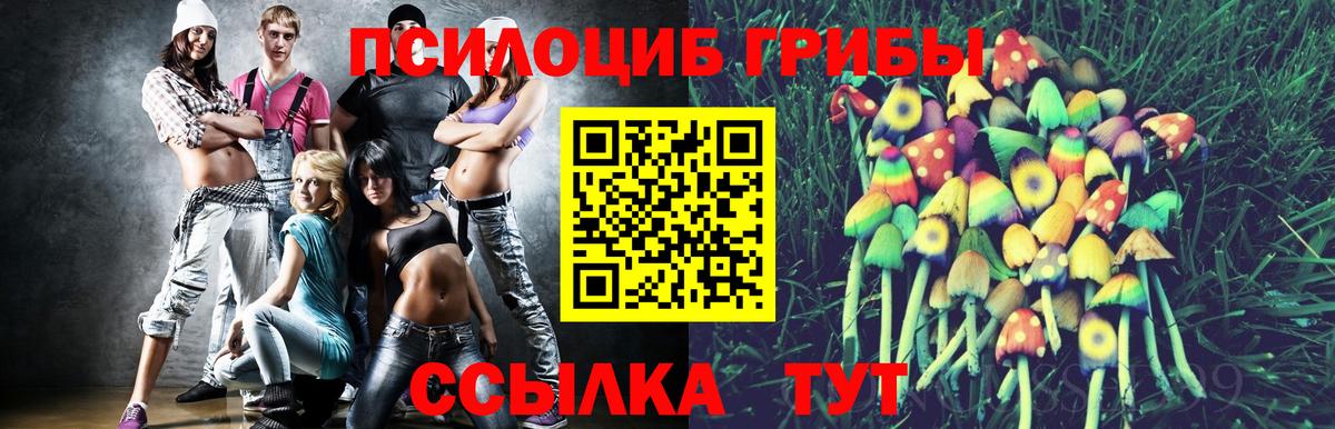 Сорочинск  Галлюциногенные грибы прущие грибы  Вход с VPN  Псилоцибиновые грибы MAGIC MUSHROOMS 