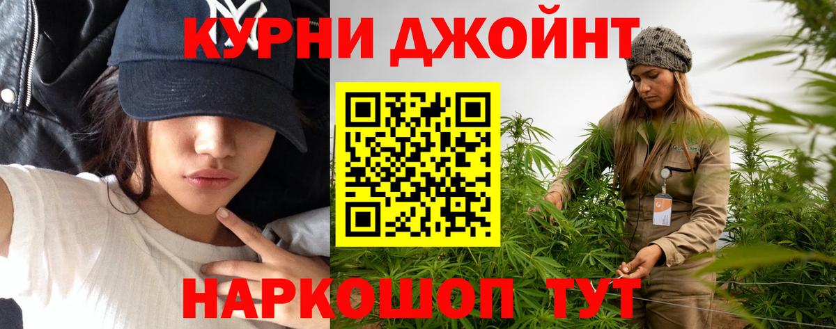 Конопля планчик Сорочинск